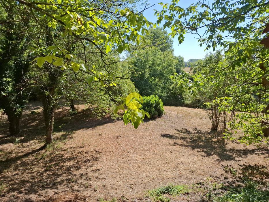 Terrain de Loisirs