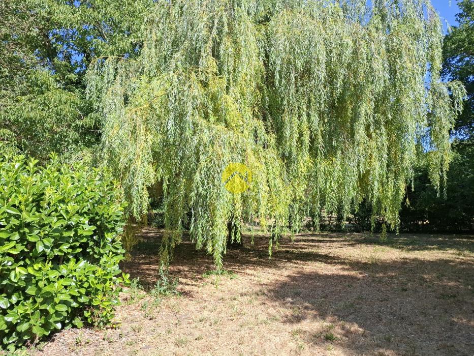 Terrain de Loisirs