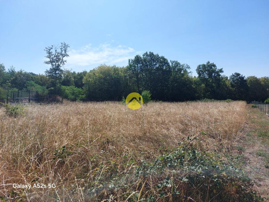 terrain constructible
