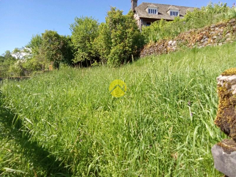 TERRAIN