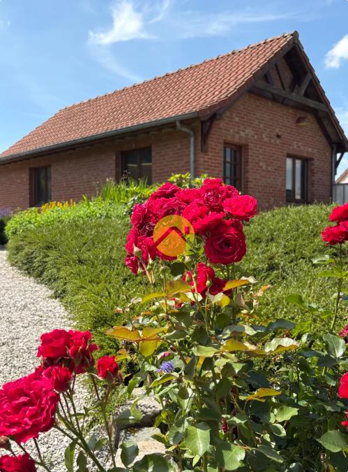 BELLE PROPRIETE INDIVIDUELLE 