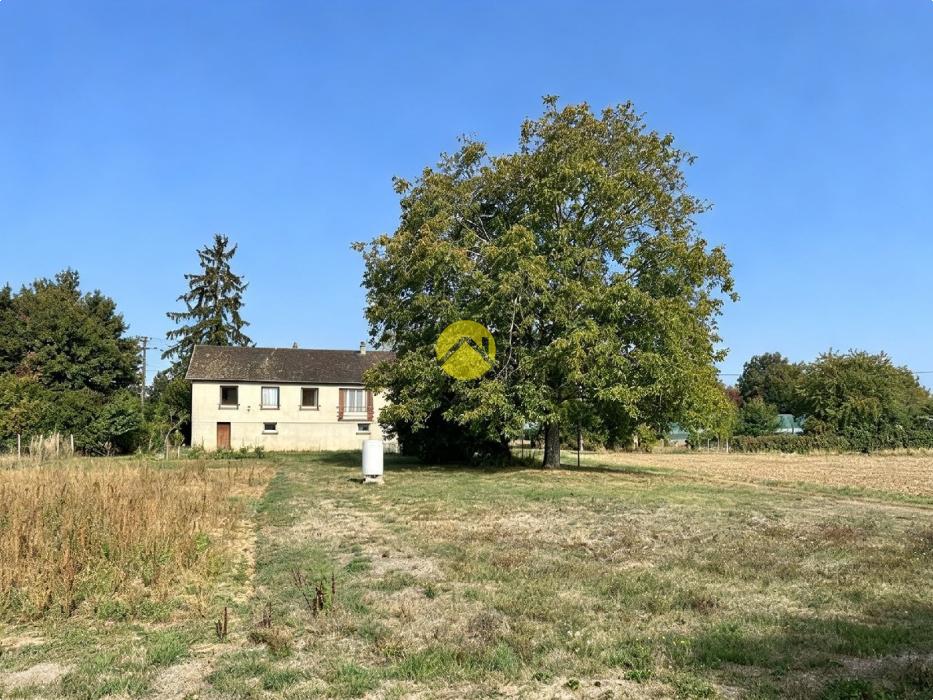 Maison et grand terrain au calme !