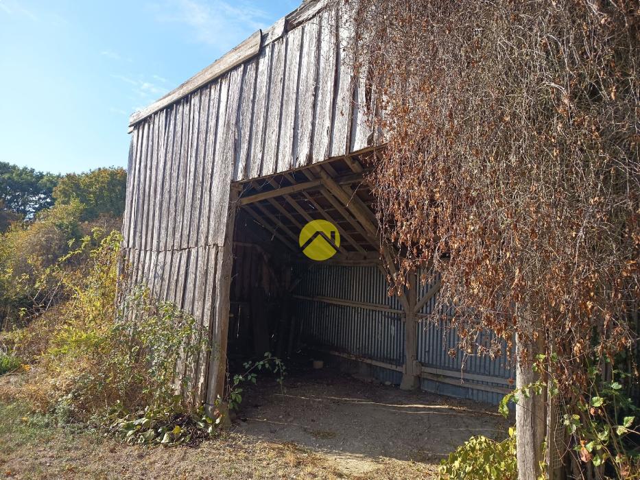 MAISON VIGNERONNE