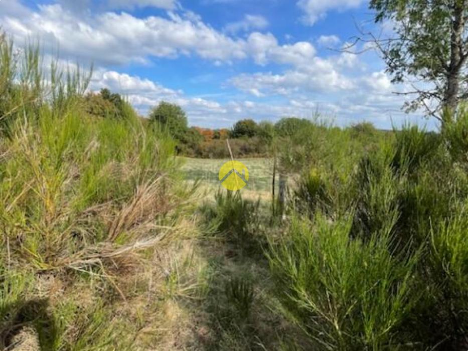 TERRAIN AGRICOLE