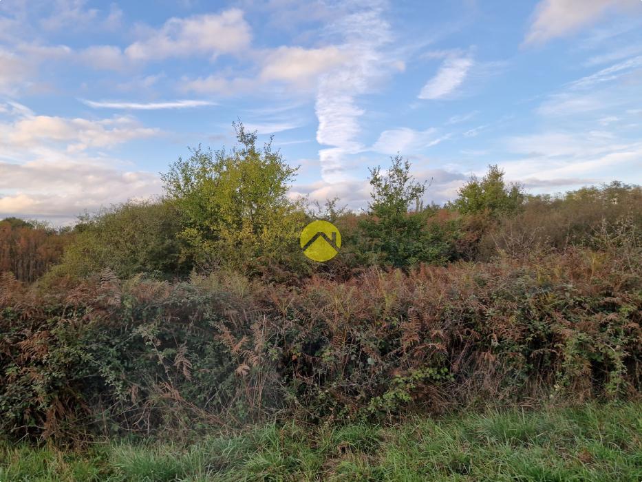 TERRAIN AGRICOLE DE 30510 M²