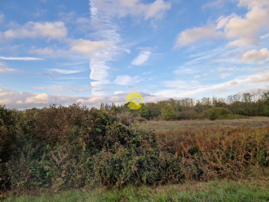 TERRAIN AGRICOLE DE 30510 M²