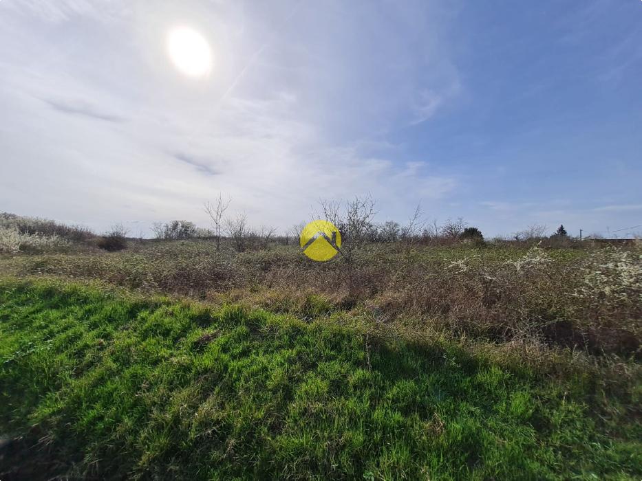 CALME & TRANQUILLITE 