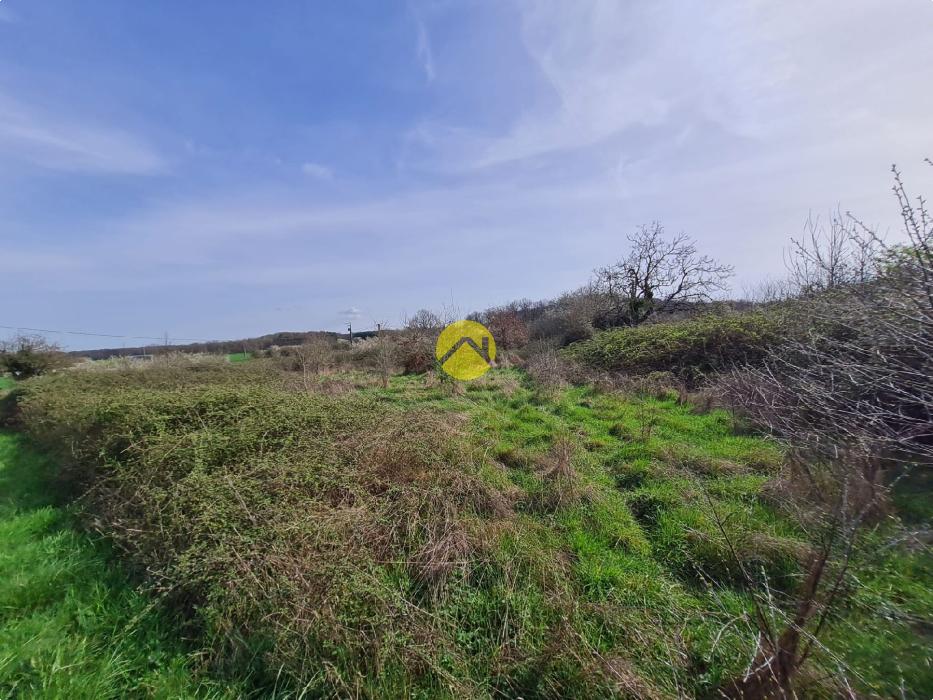 CALME & TRANQUILLITE 