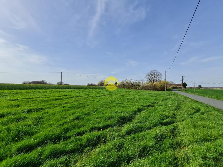 CALME & TRANQUILLITE 