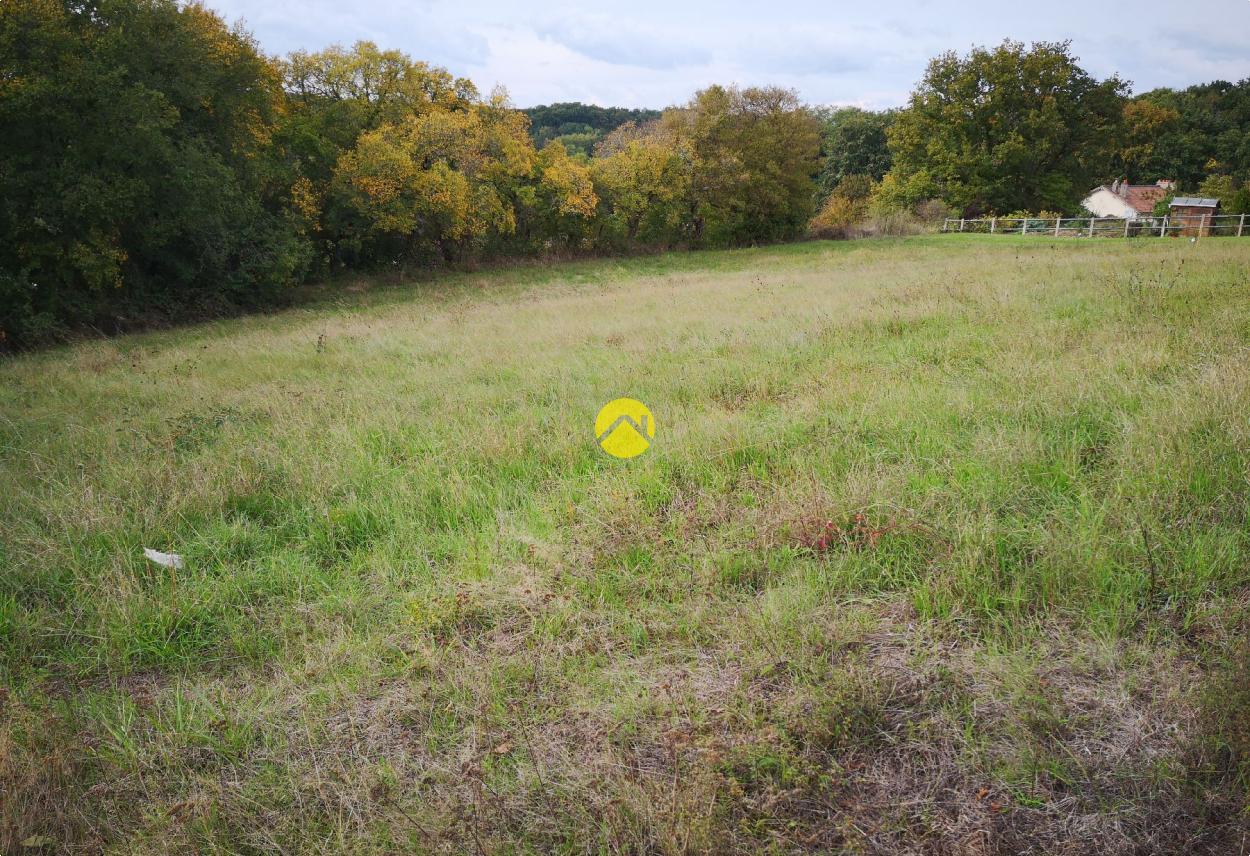 Terrain 1273 m² à Rogny les Sept Écluses, photo 2