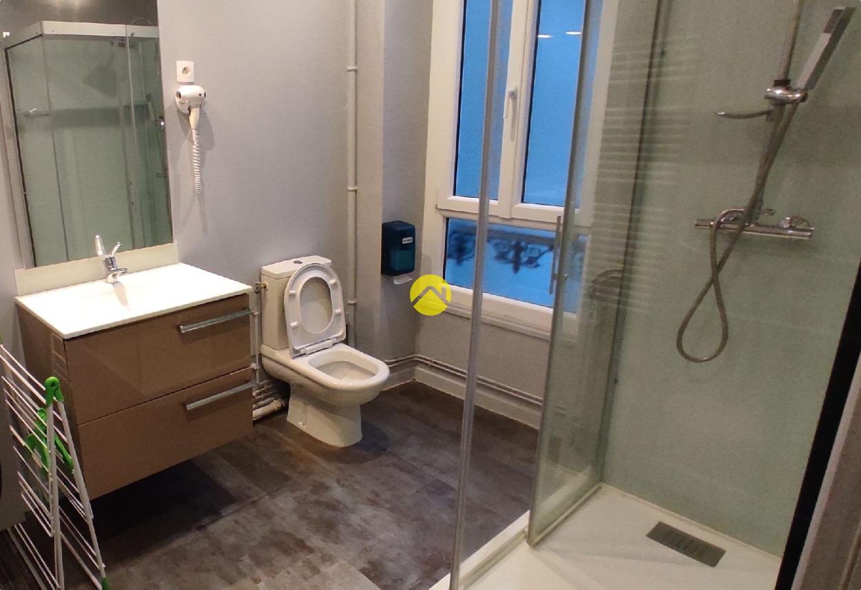 Immeuble 10 pièces 412 m² à Bourbon l'Archambault, photo 11