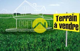 15 MNS NORD DE BOURGES · à Allogny · 35 000 €