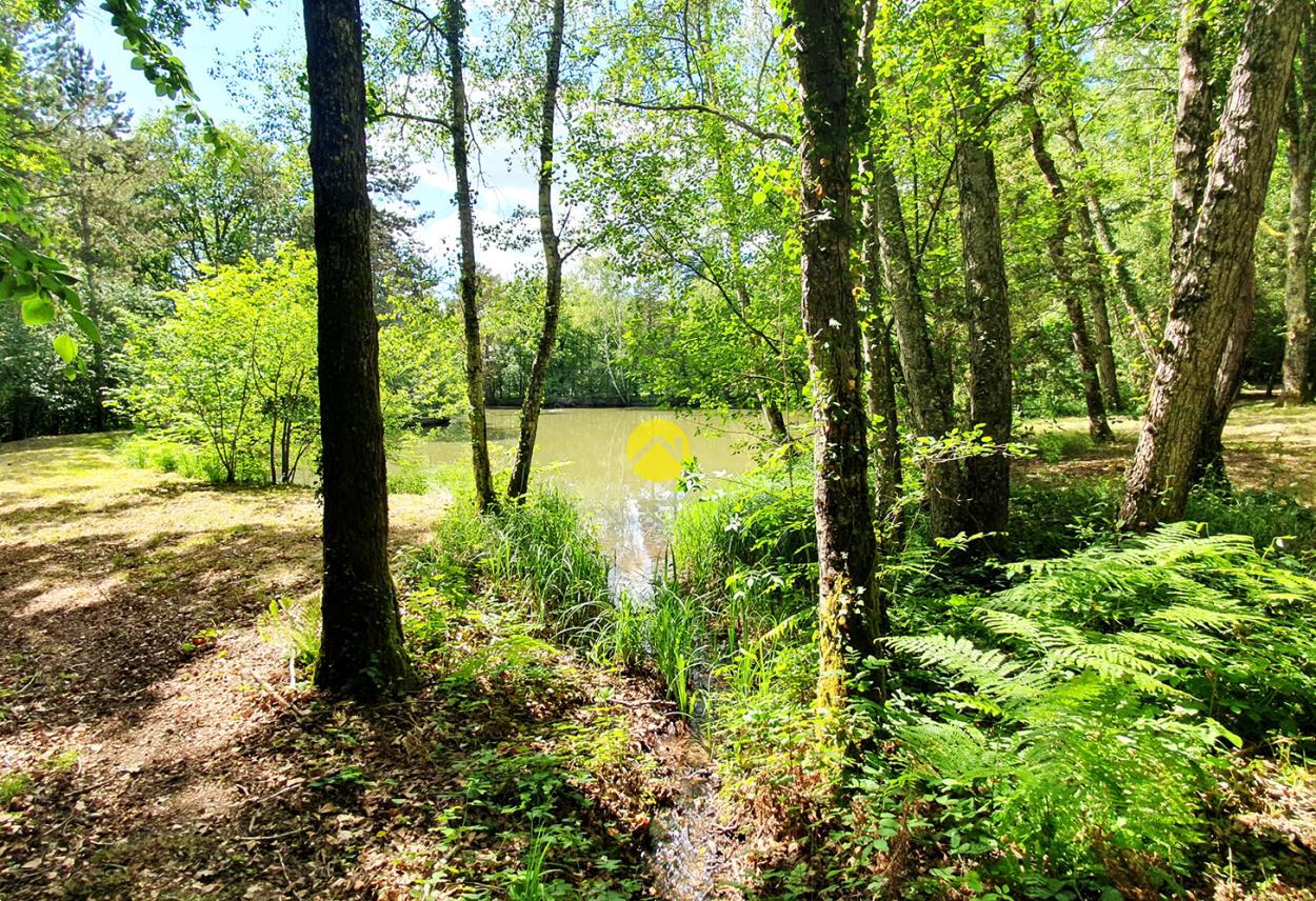 Maison 3 pièces 35 m² à Aubigny-sur-Nère, photo 5