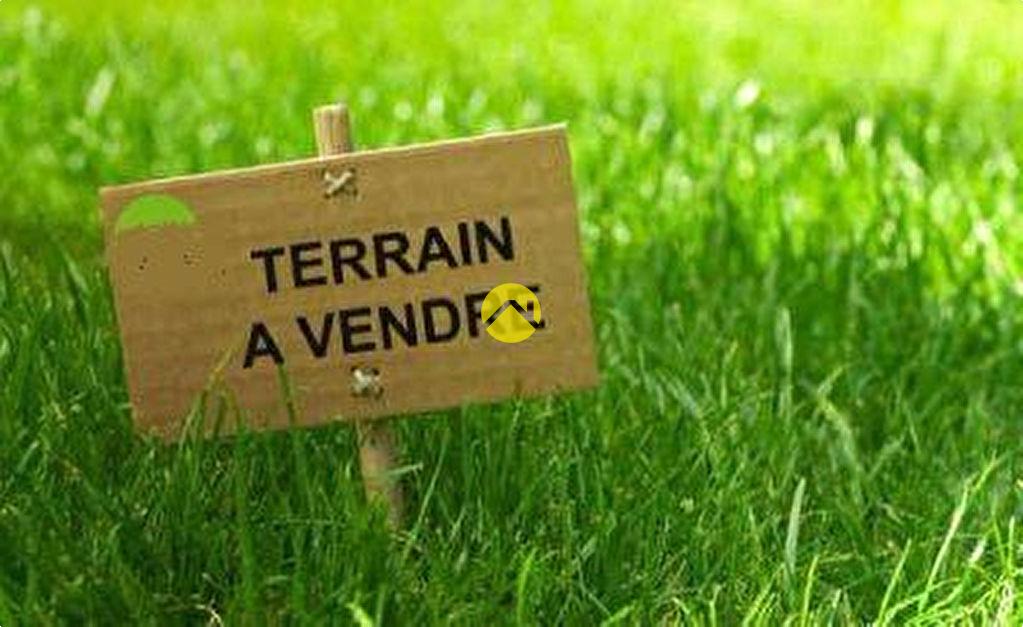Terrain 550 m² à Mouterre-Silly, photo 3