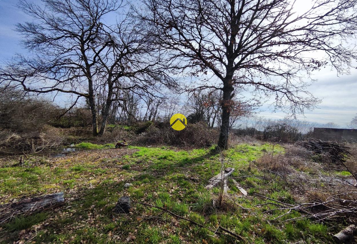 Terrain 1600 m² à Jouet-sur-l'Aubois, photo 5