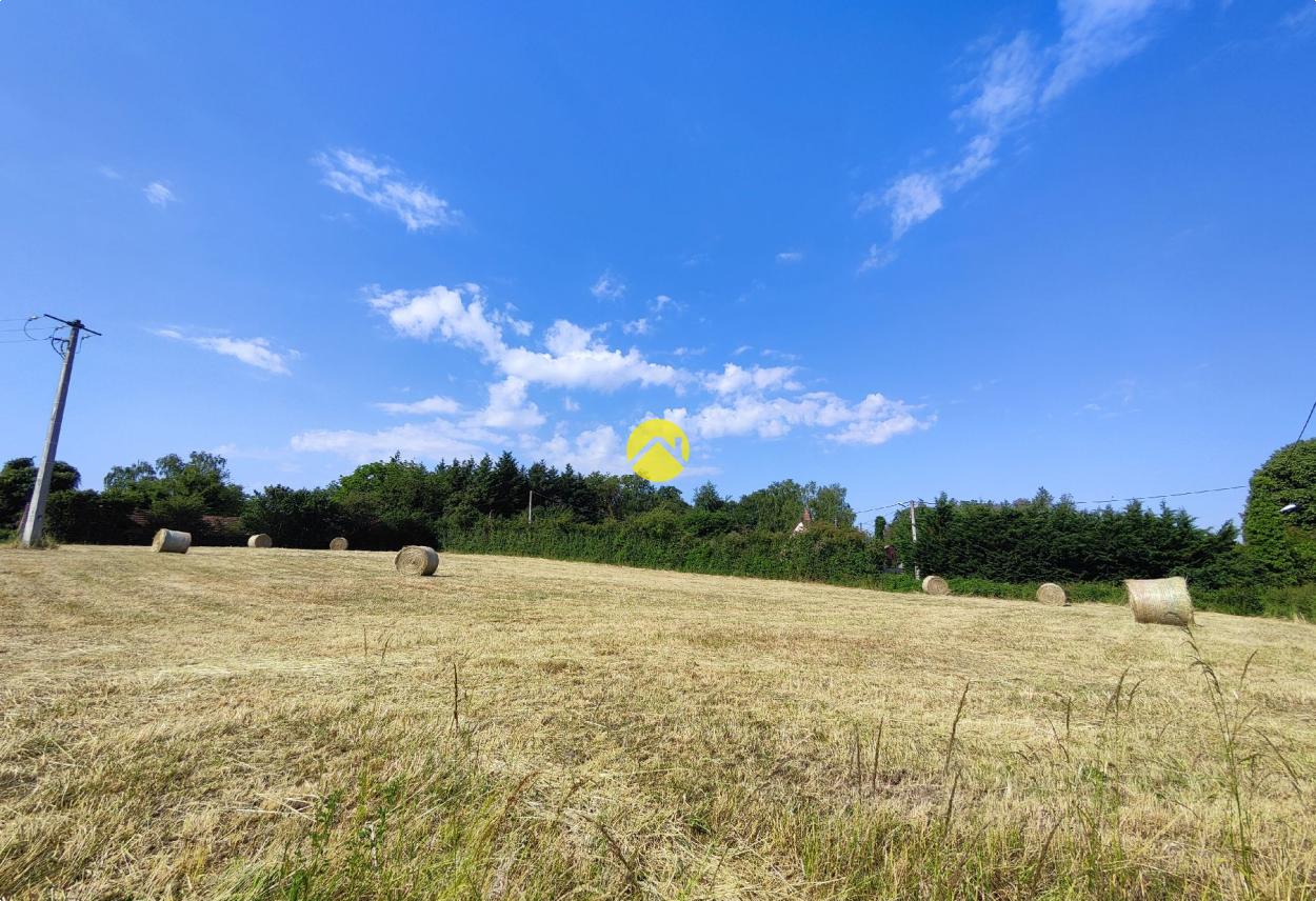 Terrain 1800 m² · à Torteron · 1 800 m² · 18 000 €