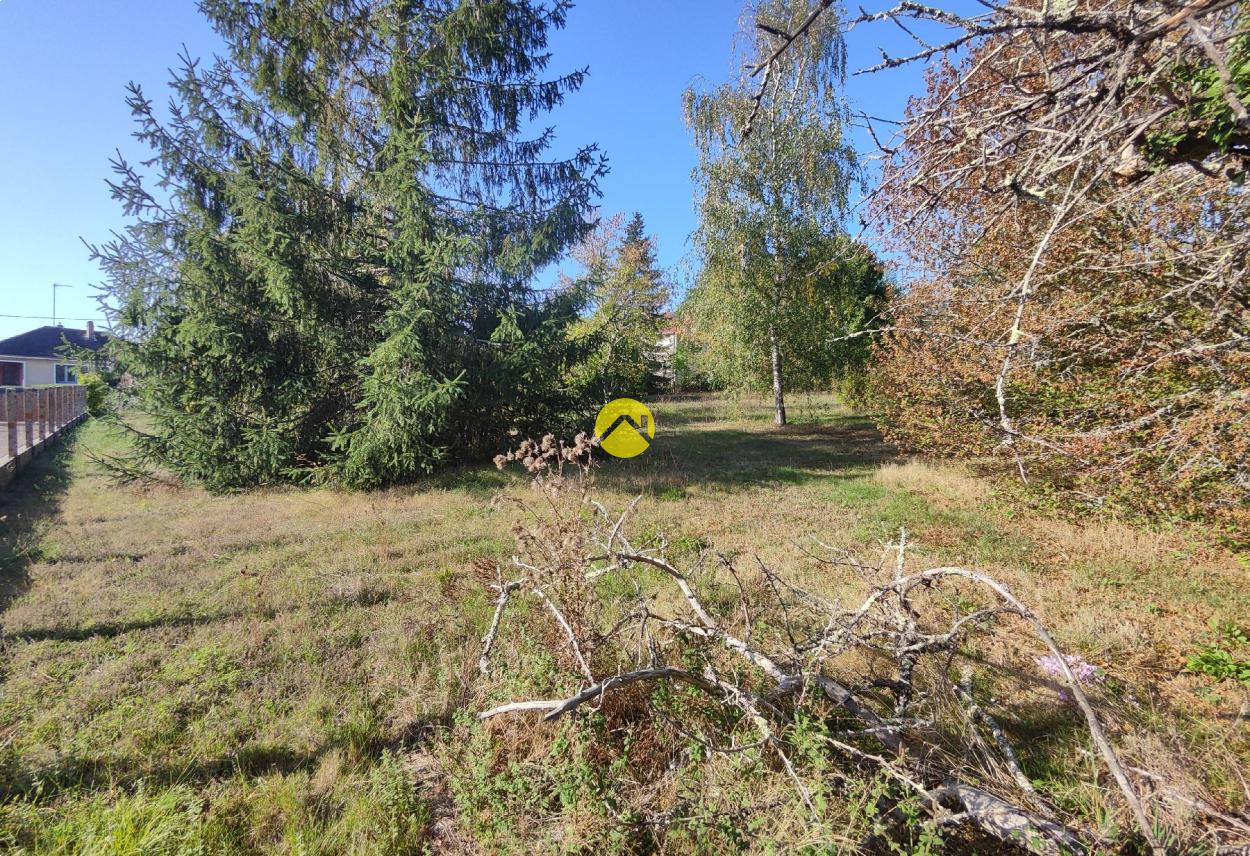 Terrain 1420 m² à Jouet-sur-l'Aubois, photo 8