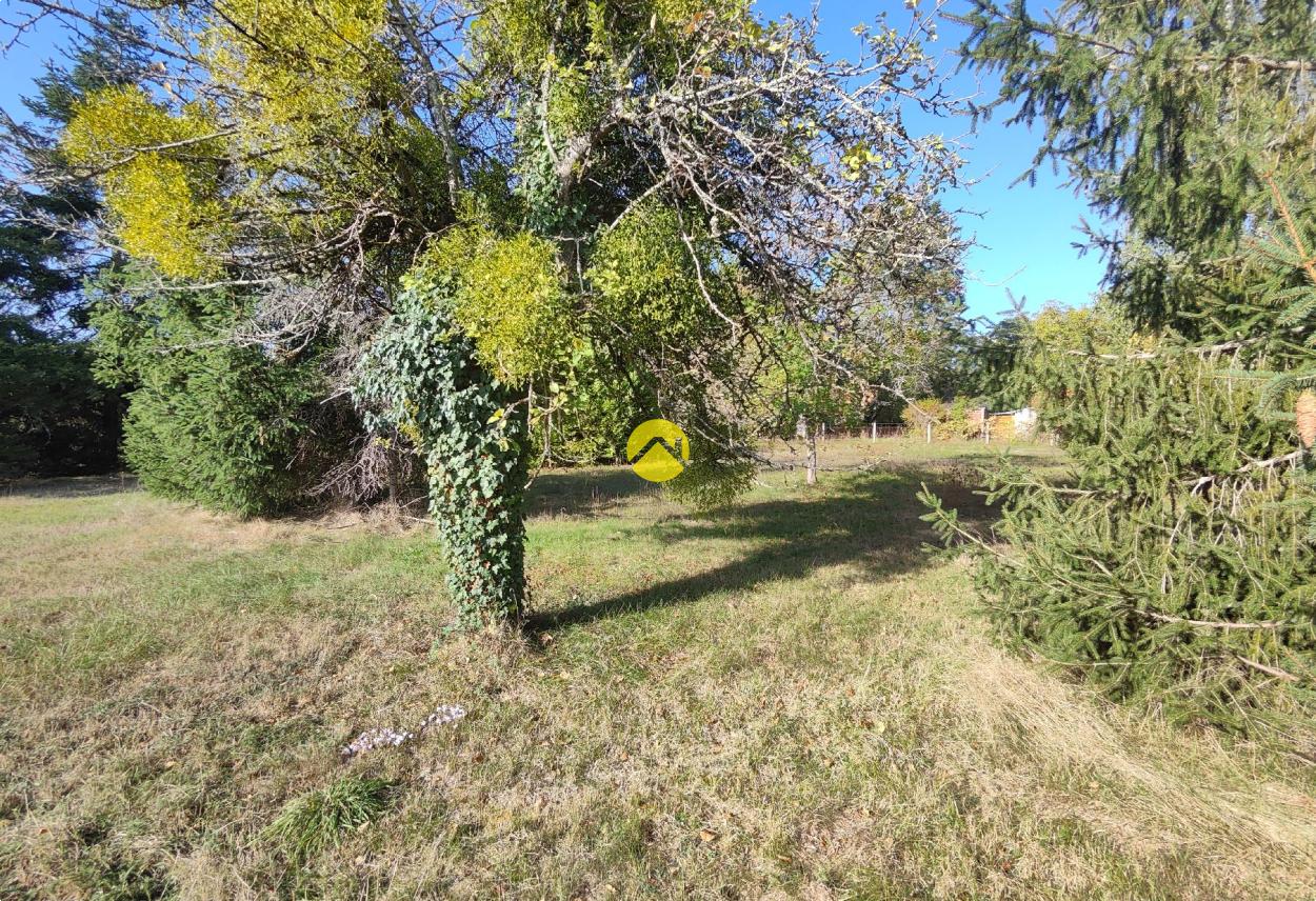 Terrain 1420 m² à Jouet-sur-l'Aubois, photo 7
