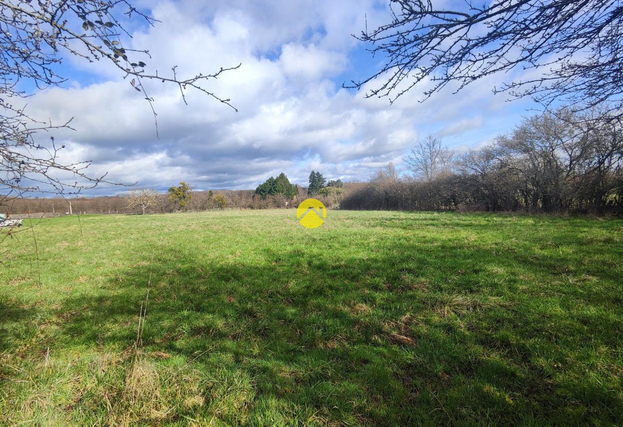 Terrain 3980 m² · à Menetou-Couture · 3 980 m² · 25 000 €