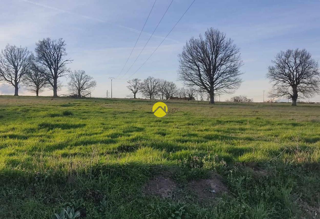Terrain 5425 m² · à Villefranche d'Allier · 5 425 m² · 55 000 €
