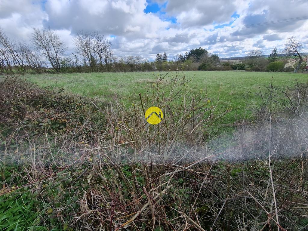 Terrain 3579 m² · à Nerondes · 3 579 m² · 47 500 €