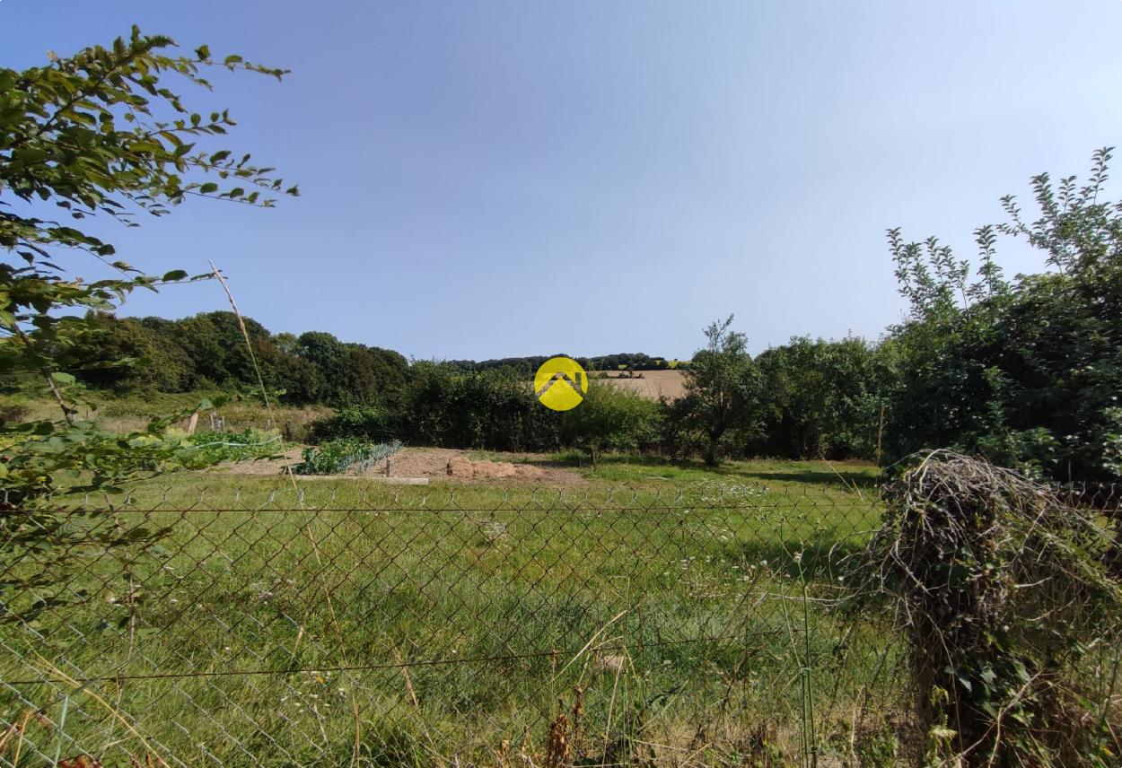 Terrain 1997 m² à Vailly-sur-Sauldre, photo 3