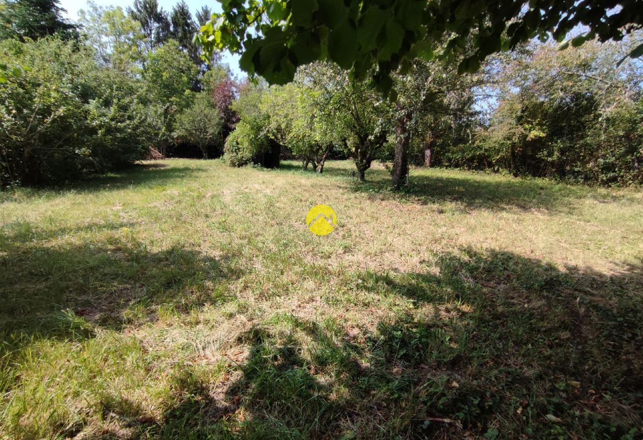 Terrain 1997 m² à Vailly-sur-Sauldre, photo 4