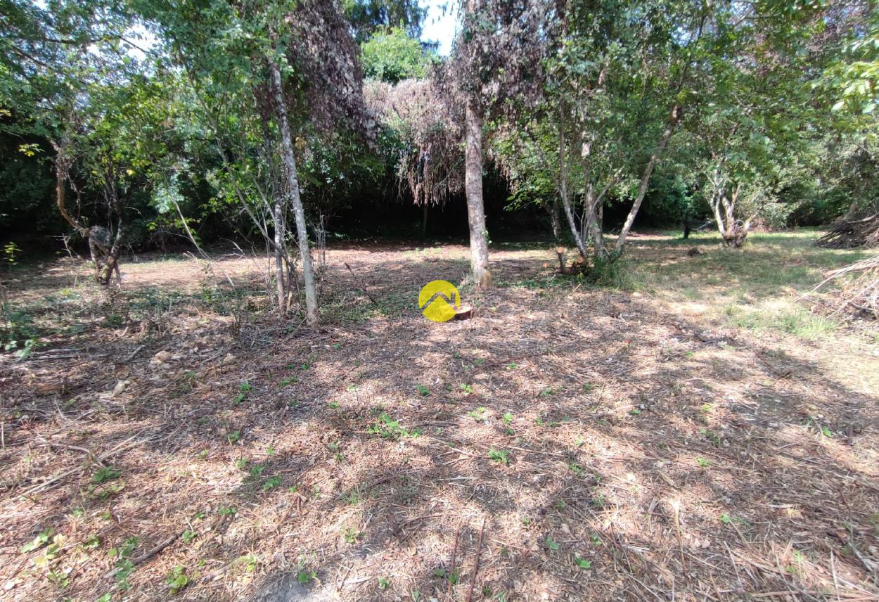 Terrain 1997 m² à Vailly-sur-Sauldre, photo 5