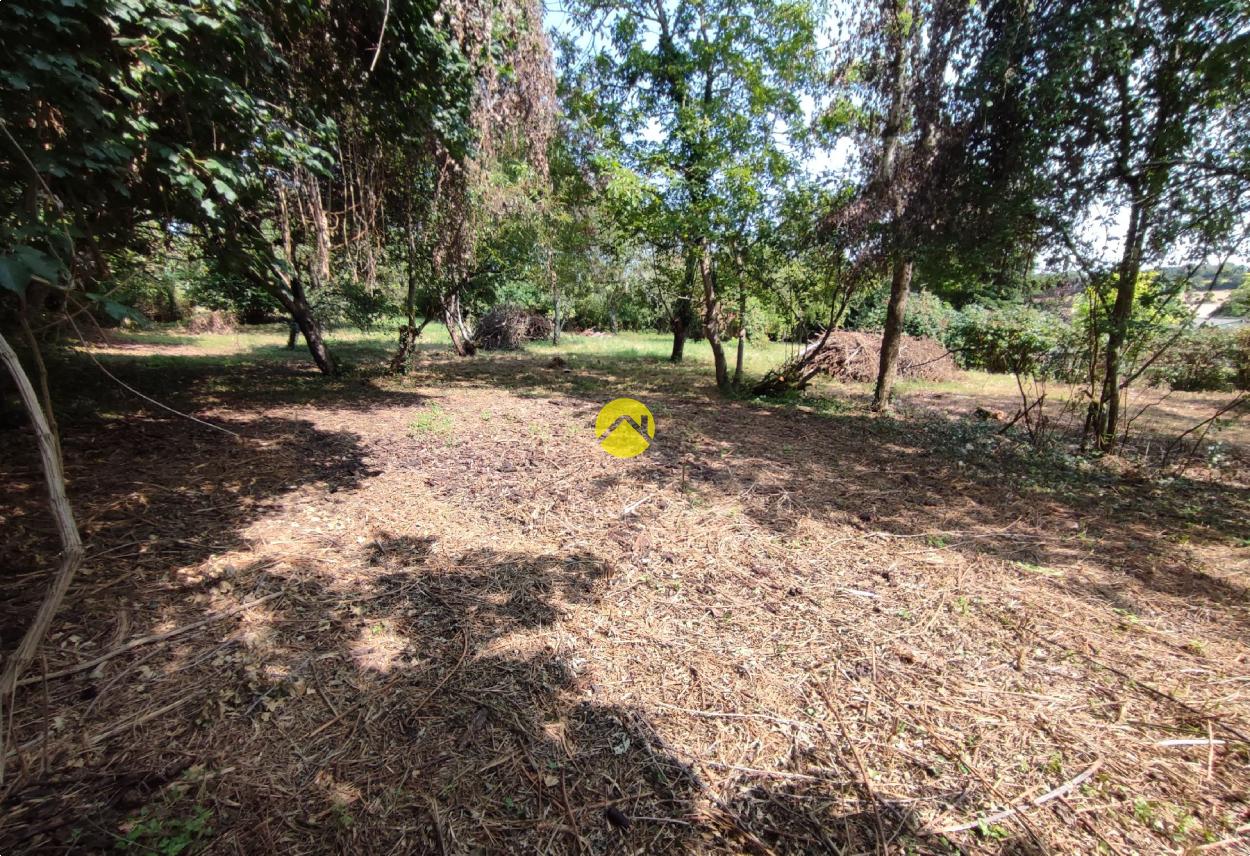 Terrain 1997 m² à Vailly-sur-Sauldre, photo 6