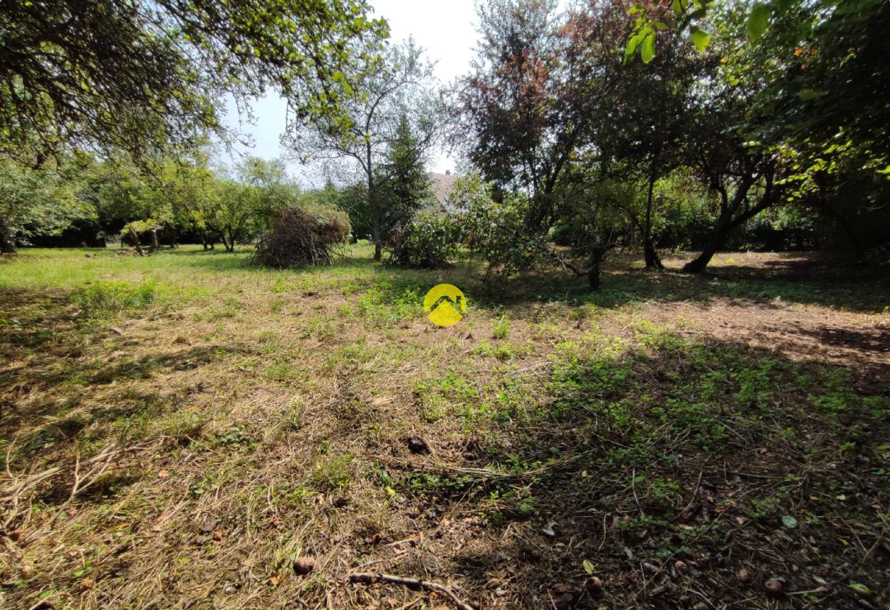 Terrain 1997 m² à Vailly-sur-Sauldre, photo 7