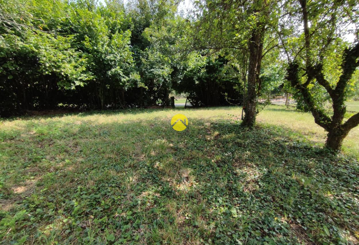 Terrain 1997 m² à Vailly-sur-Sauldre, photo 8