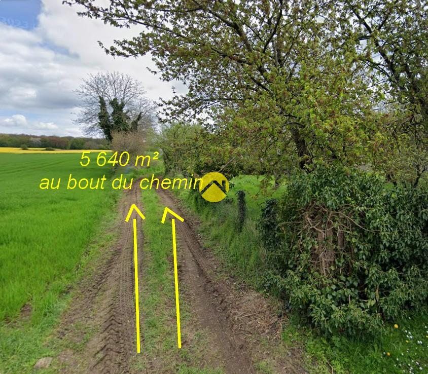 Terrain 5640 m² · à Sancoins · 5 640 m² · 28 000 €