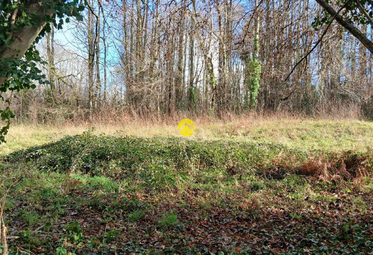 Terrain 2340 m² à Marsac, photo 4