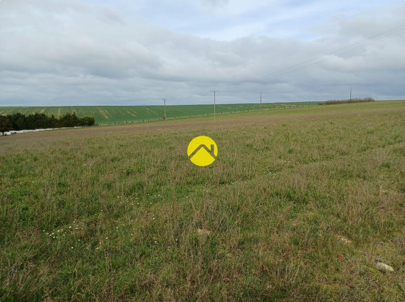 Terrain 995 m² à Chârost, photo 4