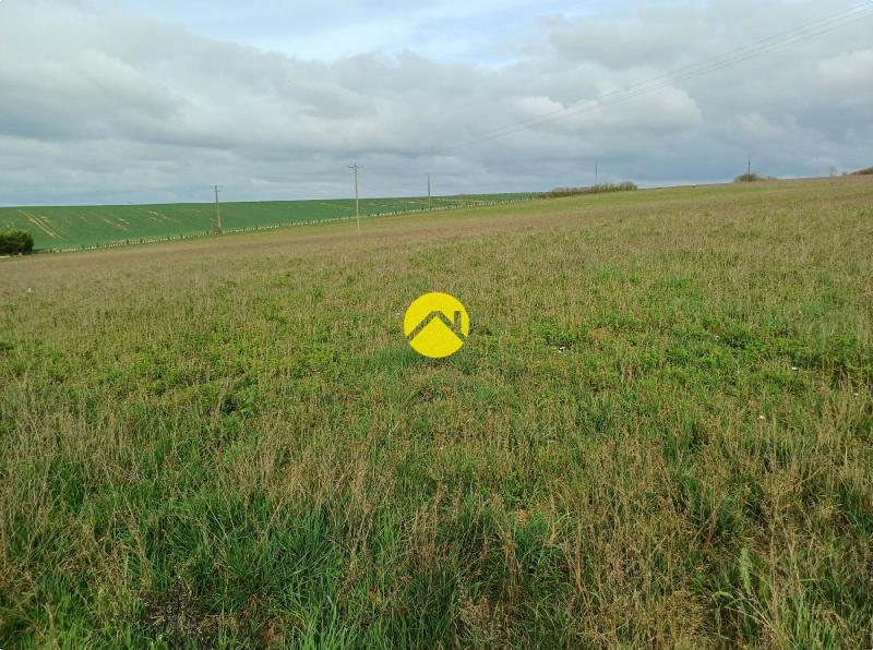 Terrain 995 m² à Chârost, photo 5