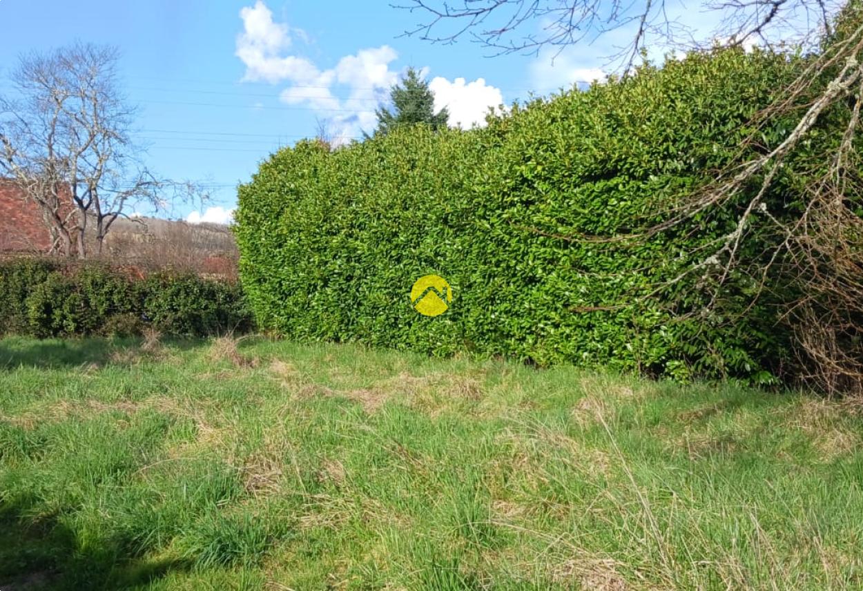 Terrain constructible au Buisson-de-Cadouin, photo 2