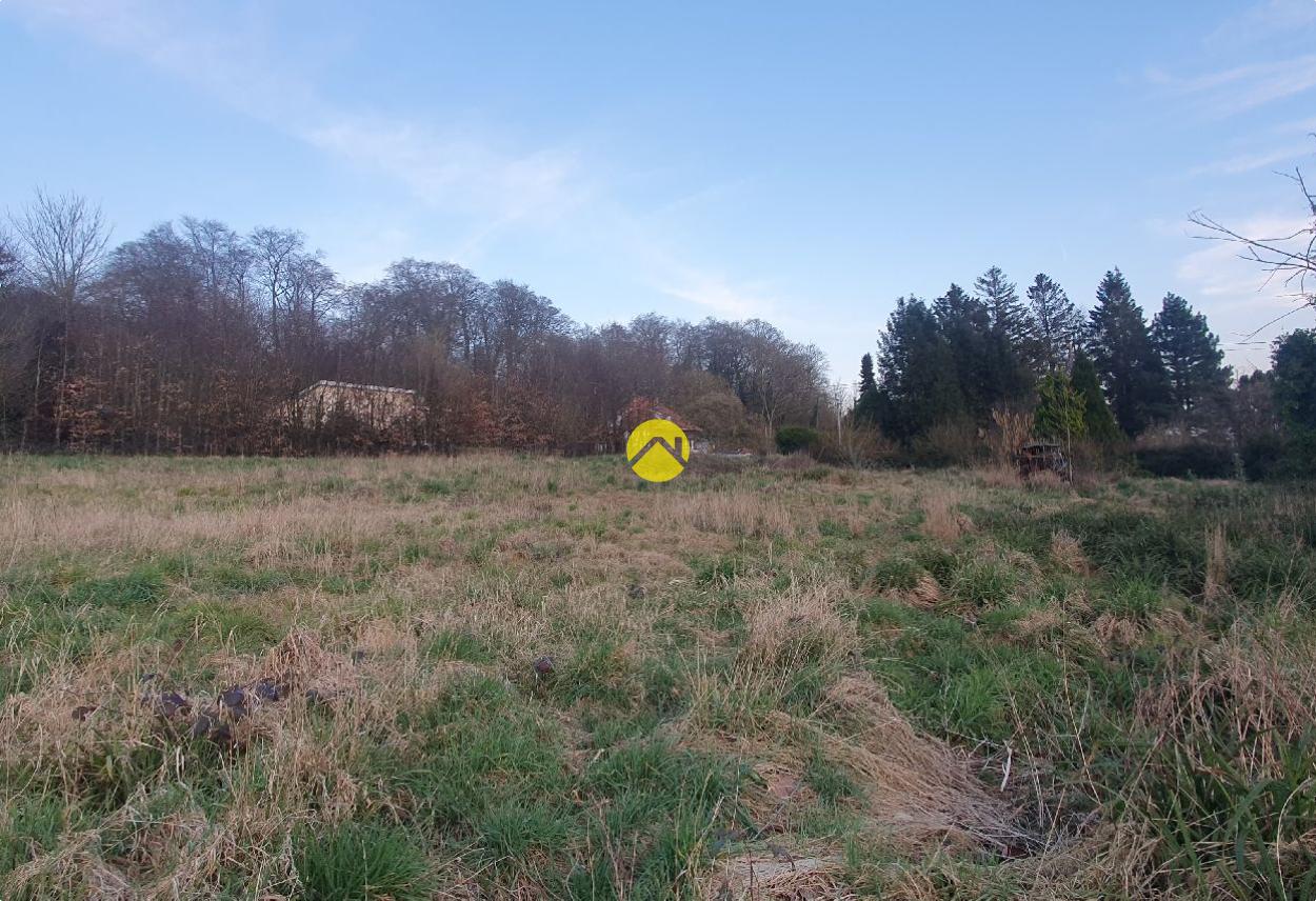 Terrain en bordure de fôret · à Beaurainville · 29 000 €