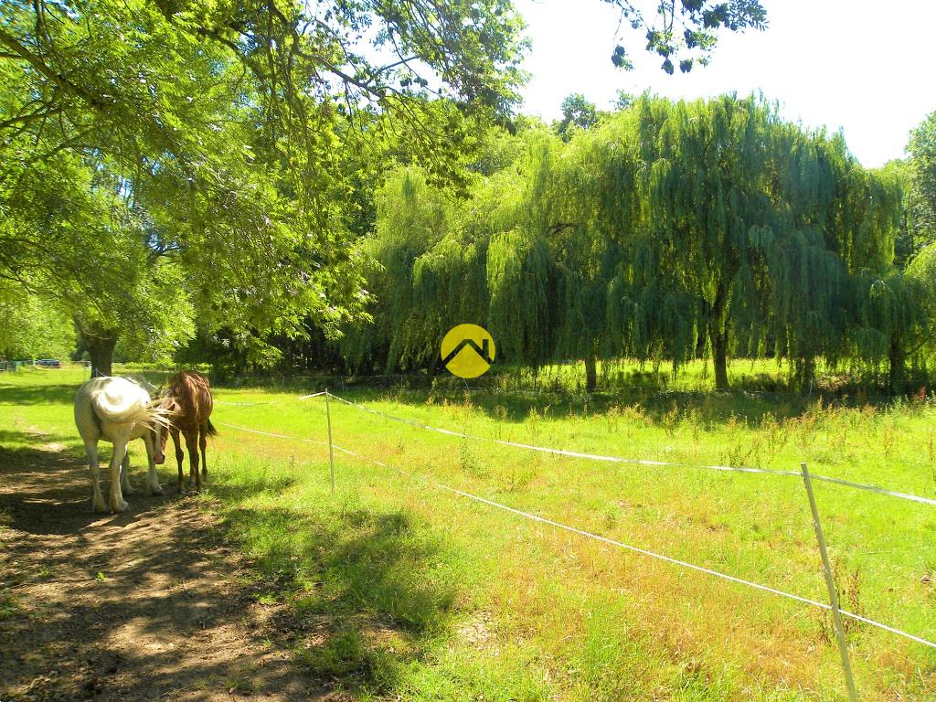 ÉTANG AU CALME à Savigny-en-Sancerre, photo 3