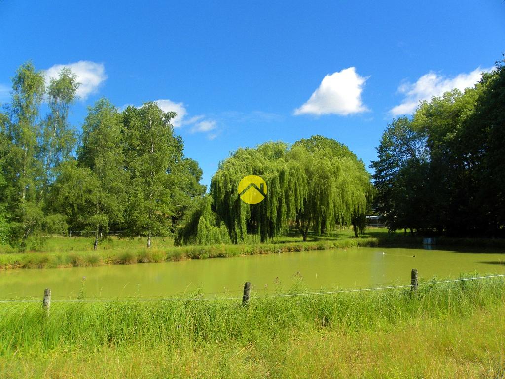 ÉTANG AU CALME · à Savigny-en-Sancerre · 52 000 €