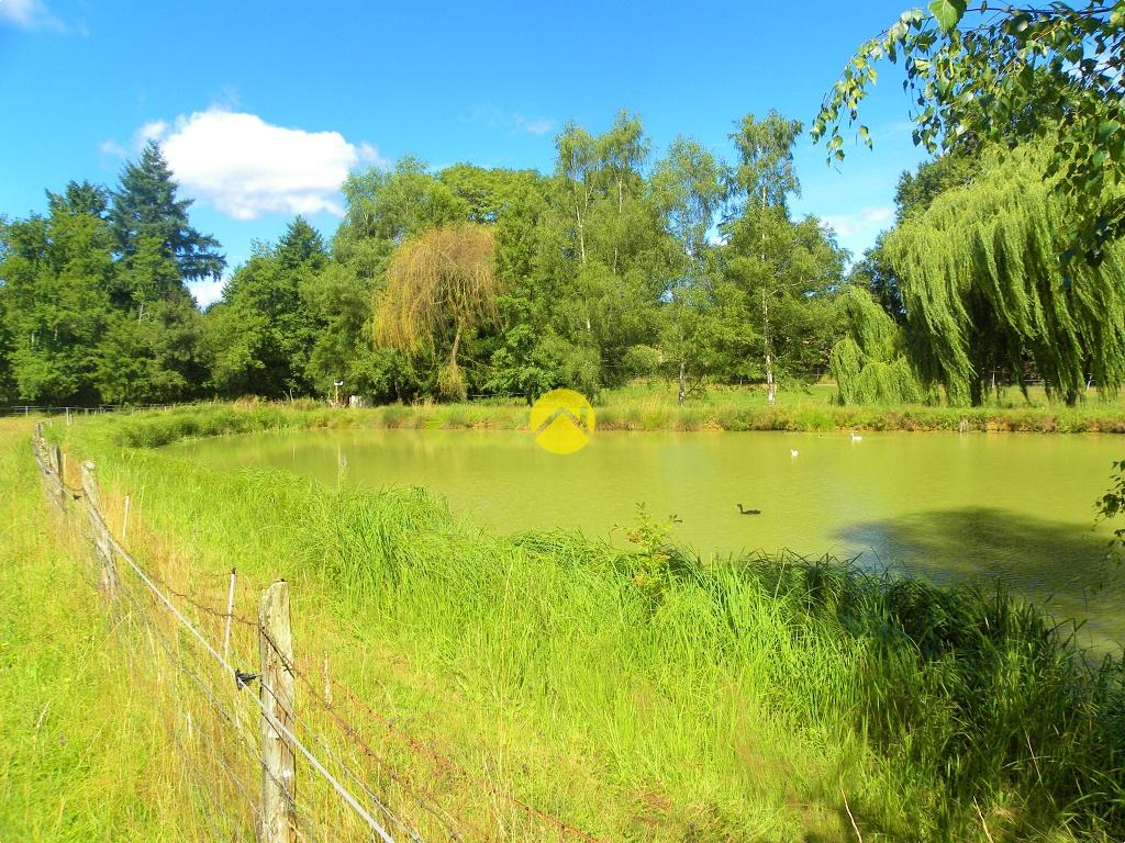 ÉTANG AU CALME à Savigny-en-Sancerre, photo 4