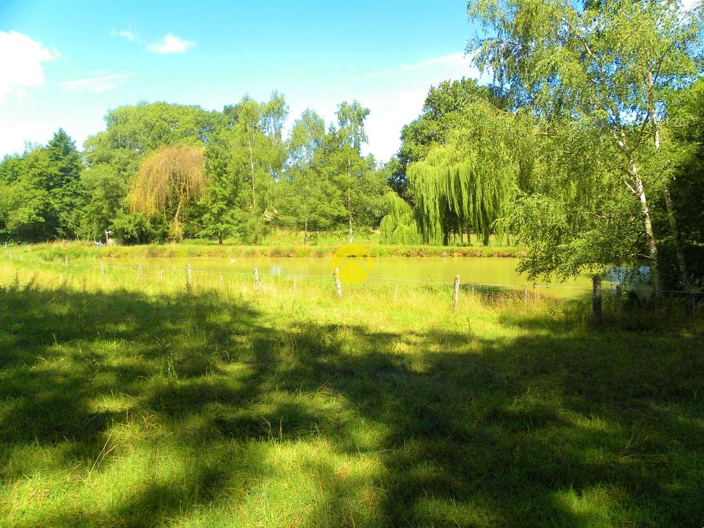 ÉTANG AU CALME à Savigny-en-Sancerre, photo 5