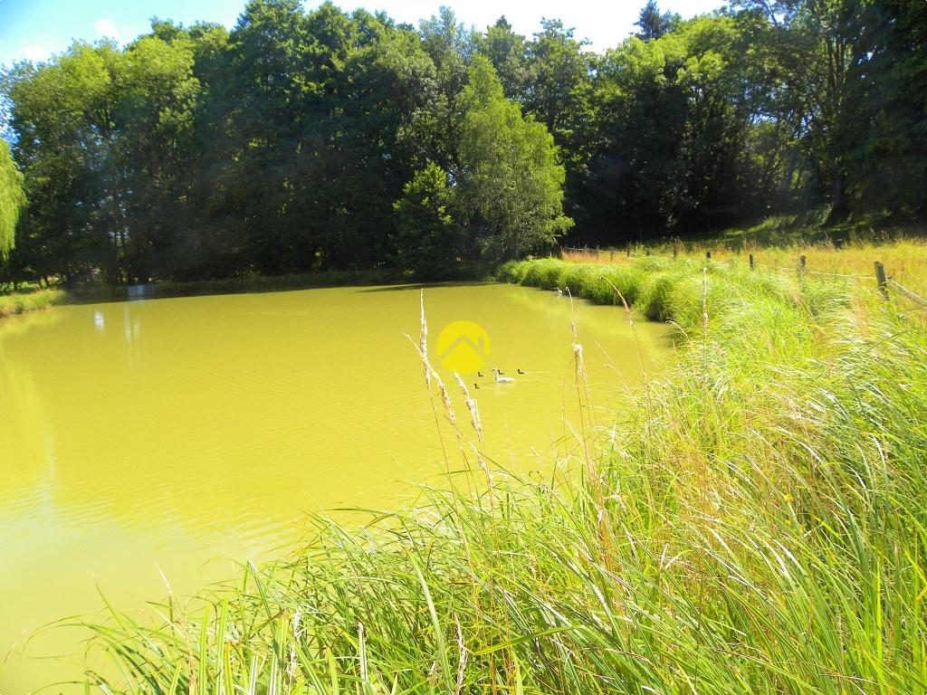 ÉTANG AU CALME à Savigny-en-Sancerre, photo 6