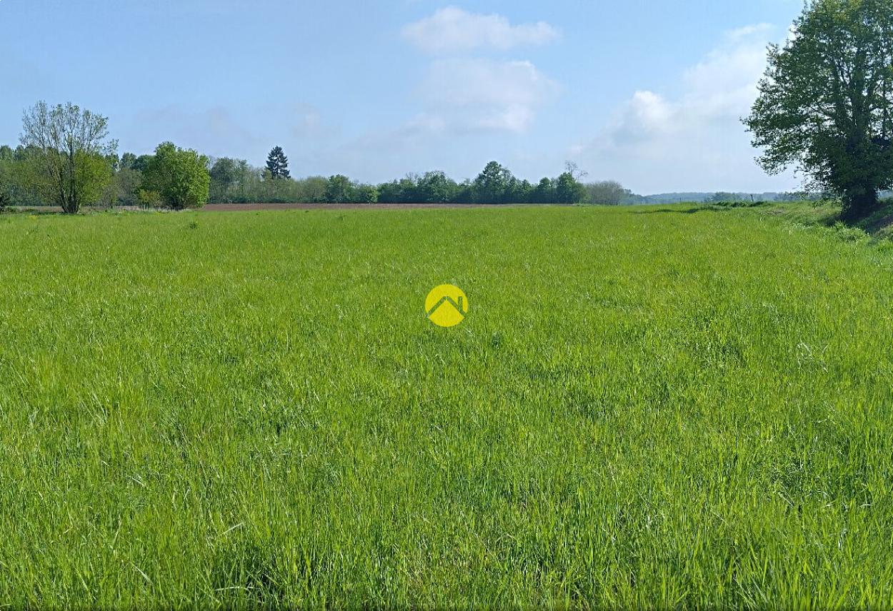 Proche Levroux · à Chateauroux · 46 000 €