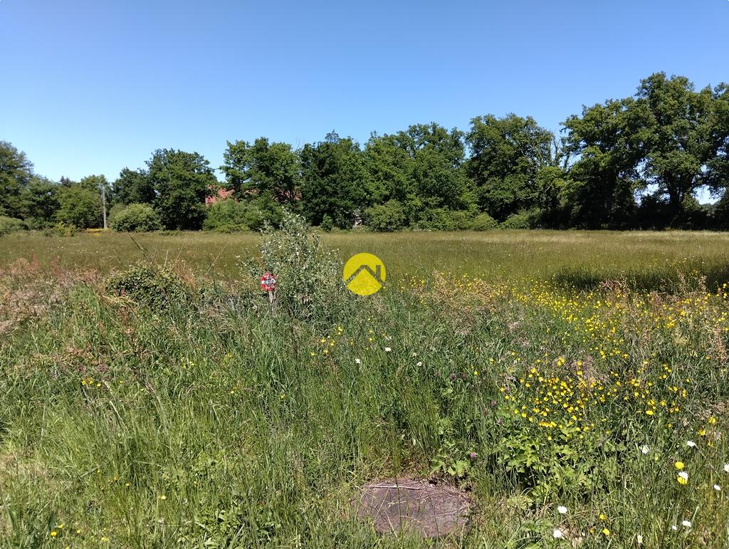 Grand terrain plat à bâtir à Lurcy-Lévis, photo 5