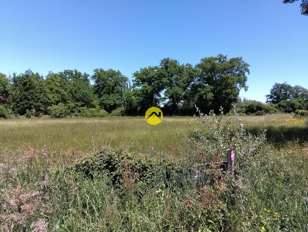 Grand terrain plat à bâtir à Lurcy-Lévis, photo 13