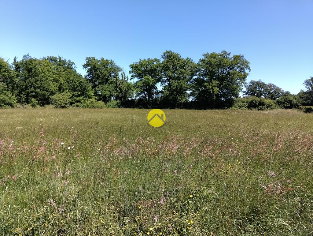 Grand terrain plat à bâtir à Lurcy-Lévis, photo 12