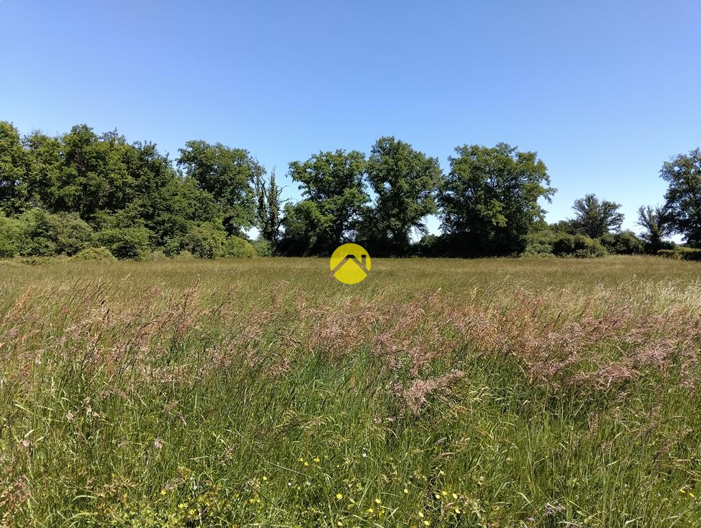 Grand terrain plat à bâtir à Lurcy-Lévis, photo 11