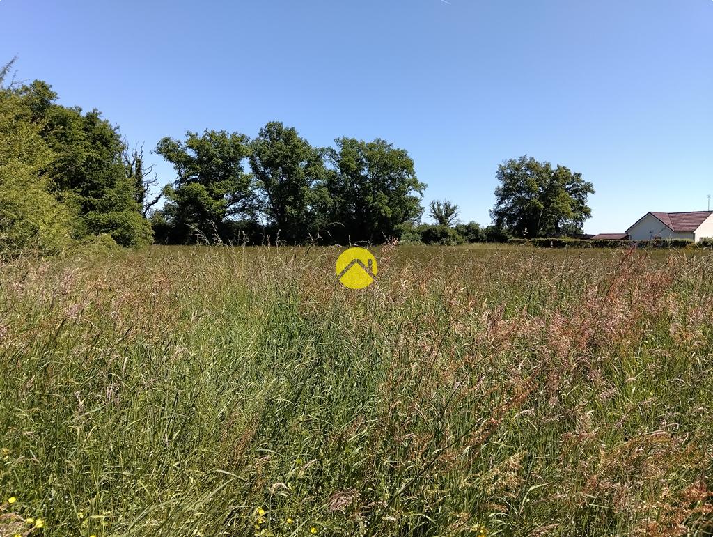 Grand terrain plat à bâtir à Lurcy-Lévis, photo 10