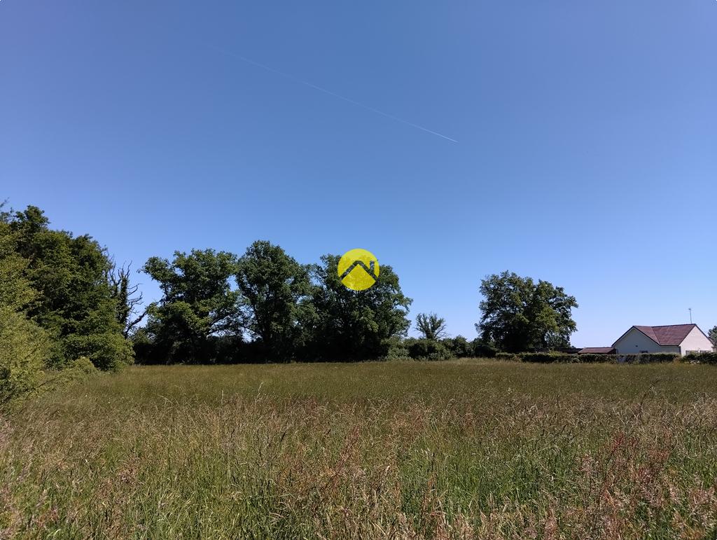 Grand terrain plat à bâtir à Lurcy-Lévis, photo 9