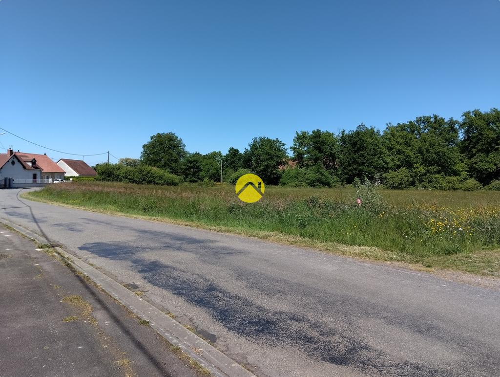 Grand terrain plat à bâtir à Lurcy-Lévis, photo 8